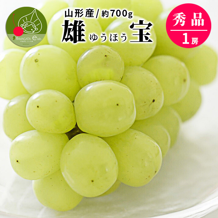 山形県産 ぶどう 雄宝 1房 (約700g) 秀品 大粒 果物 化粧箱入 産地直送