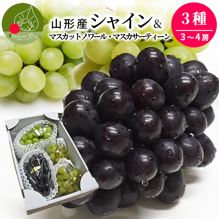4️⃣ 山梨県産 シャイン＆悟紅玉詰め合わせ 箱込5.3キロ の人気商品一覧 詰め合わせ - シャイン＆悟紅玉詰め合わせ 3キロ 4️⃣