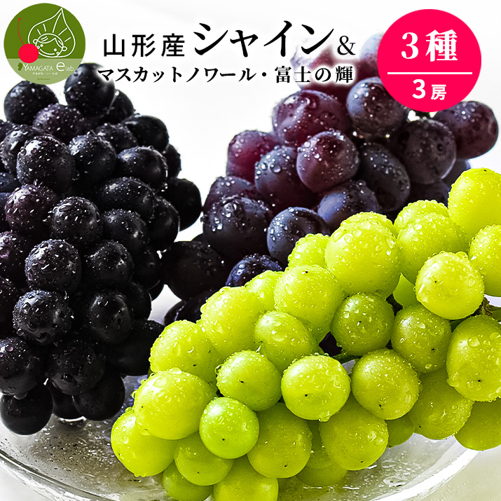 シャインマスカット×マスカットノワール×富士の輝 計約1.5kg 山形県産