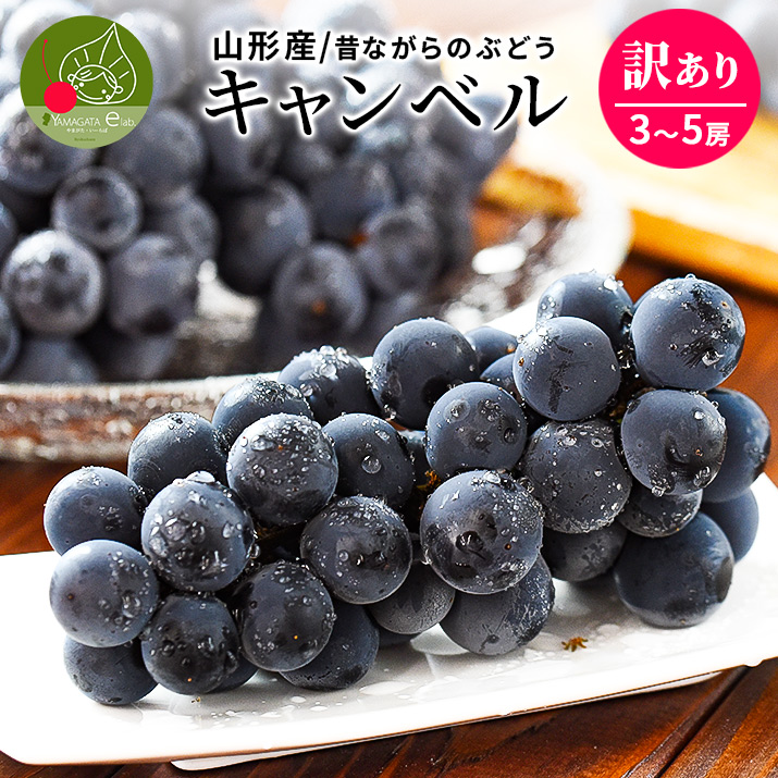 キャンベル ぶどう 訳あり M以上 約1kg 3〜5房前後 クール便 ブドウ