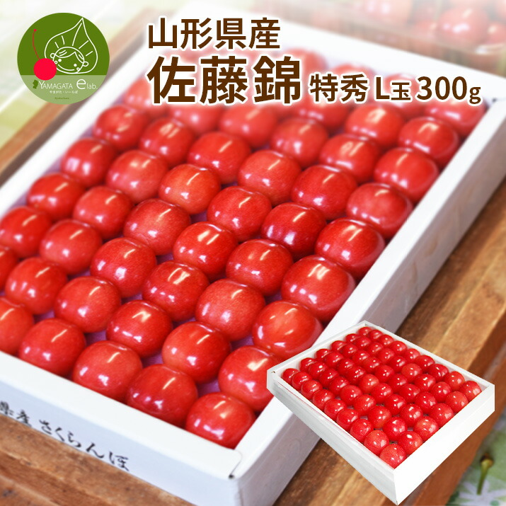 さくらんぼ 佐藤錦 L玉 300g 鏡詰め 山形 特秀 ギフト 山形県産 2026