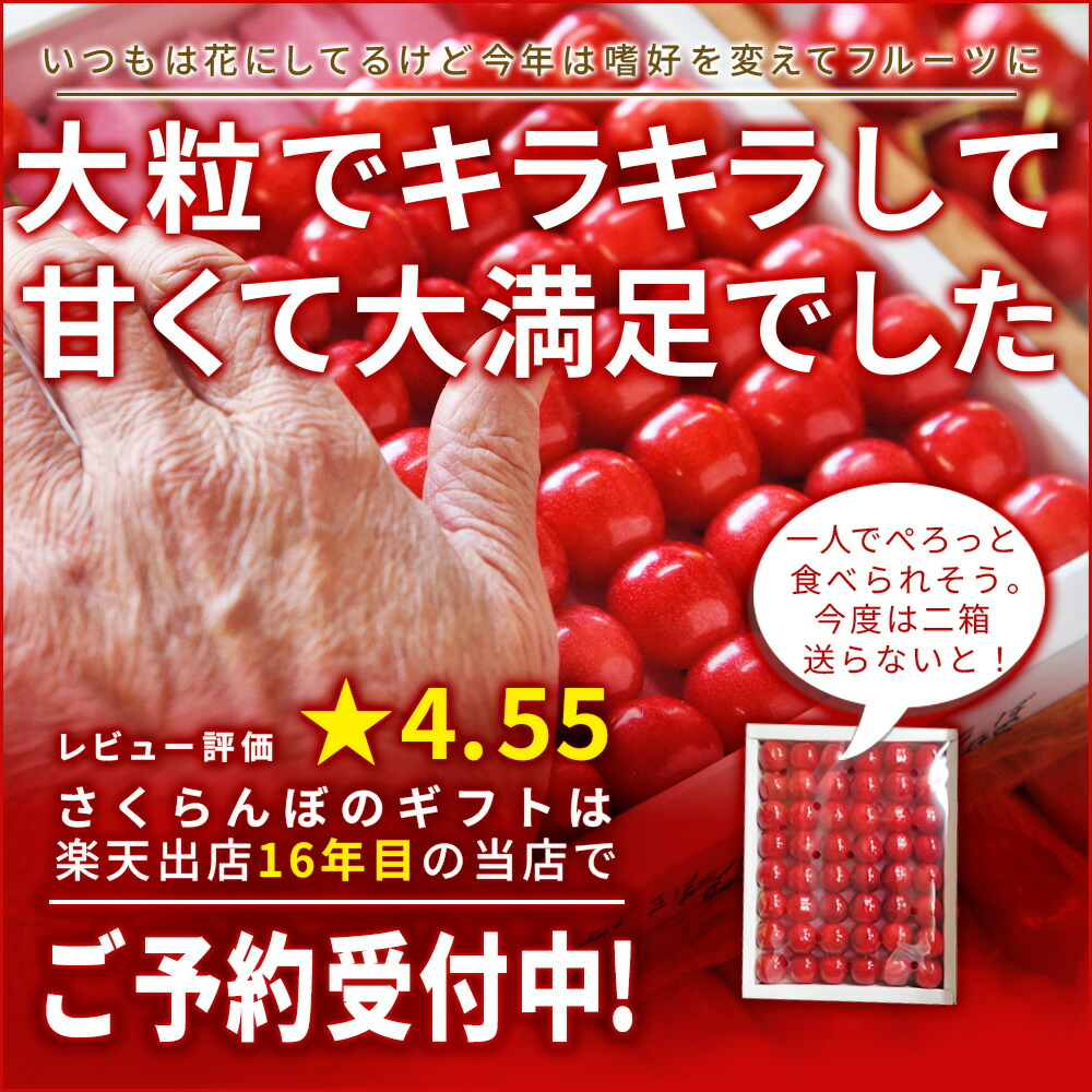 さくらんぼ 佐藤錦 L玉 300g 鏡詰め 山形 特秀 ギフト 山形県産 2026