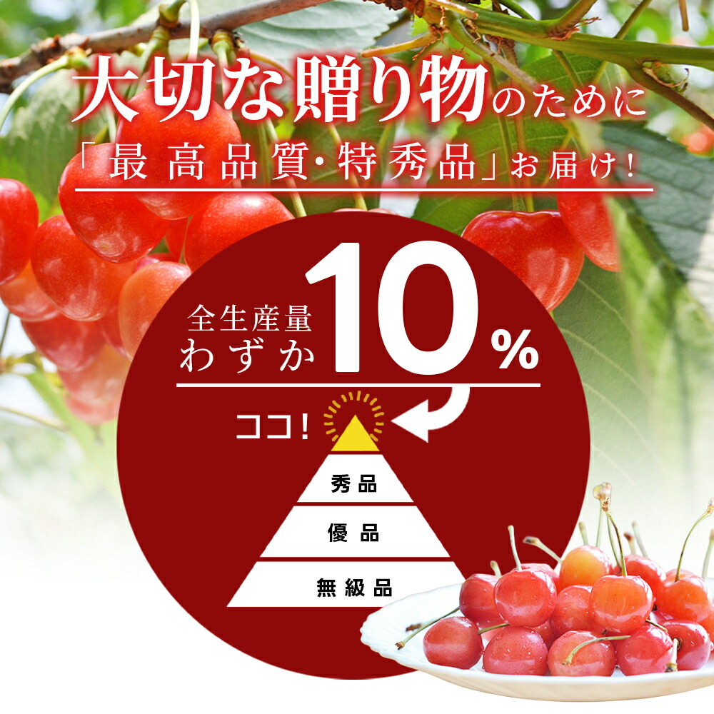 さくらんぼ 佐藤錦 L玉 300g 鏡詰め 山形 特秀 ギフト 山形県産 2026