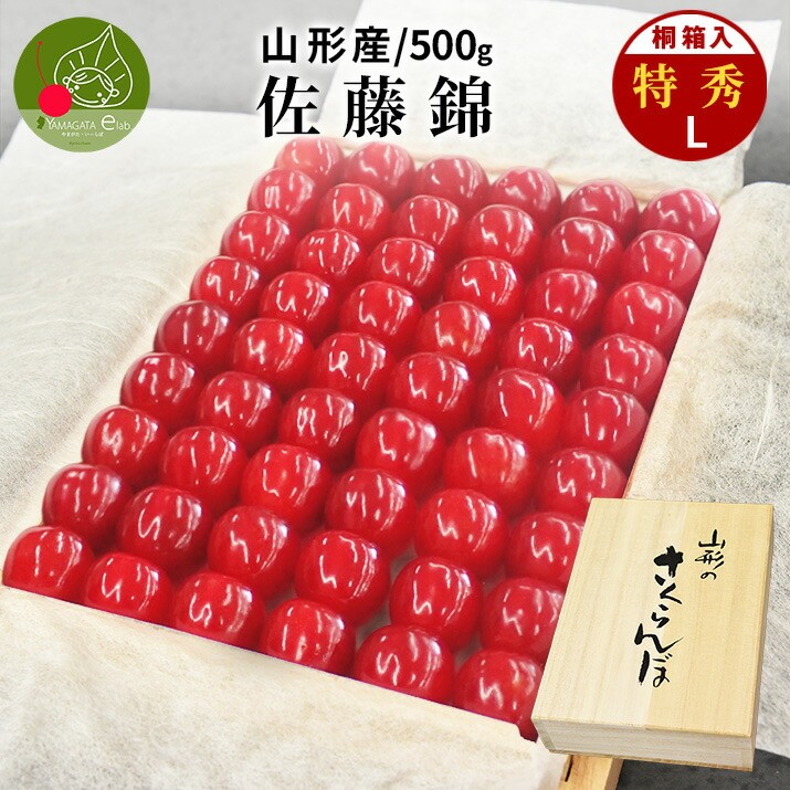 さくらんぼ 佐藤錦 Lサイズ 500g 特秀 桐箱入 鏡詰め 山形県産 サクランボ ギフト プレゼント 予約商品 送料無料 果物 フルーツ