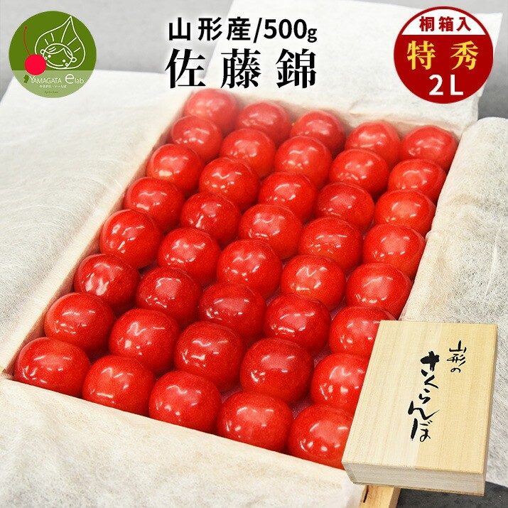 さくらんぼ 佐藤錦 2Lサイズ 500g 特秀 桐箱入 鏡詰め 山形県産 サクランボ ギフト プレゼント 予約商品 送料無料 果物 フルーツ