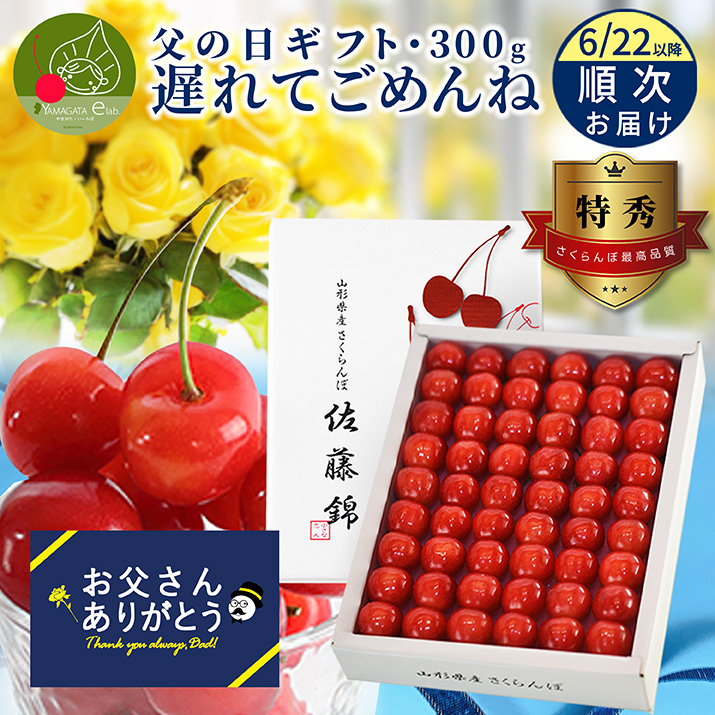 父の日 ギフト さくらんぼ 佐藤錦 or 紅秀峰 L玉 300g 鏡詰め 山形 特