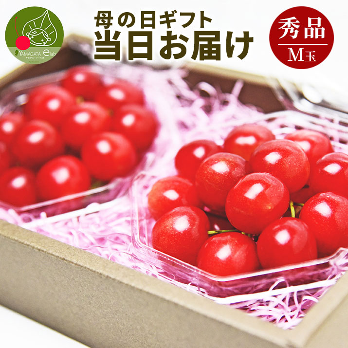さくらんぼ 山形 佐藤錦」の人気商品一覧・価格比較 - 価格.com