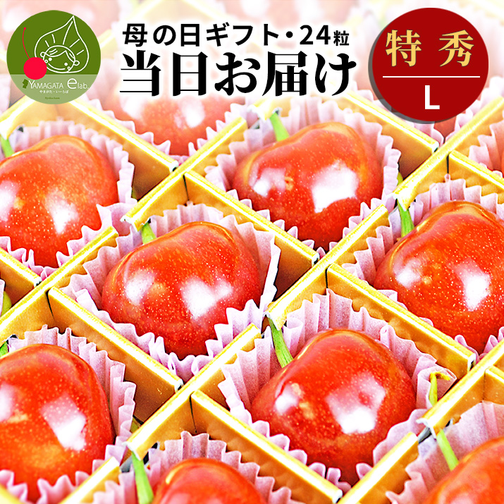 さくらんぼ 紅秀峰」の人気商品一覧・価格比較 - 価格.com