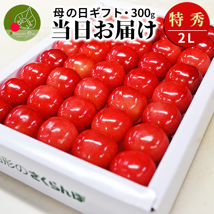 さくらんぼ 佐藤錦 母の日 送料無料」の人気商品一覧・価格比較 - 価格.com