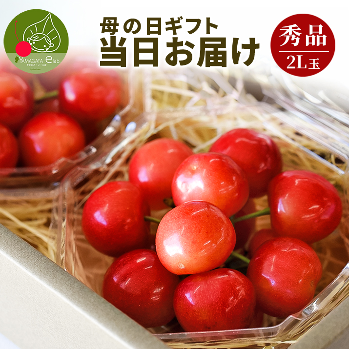 さくらんぼ 2L」の人気商品一覧・価格比較 - 価格.com