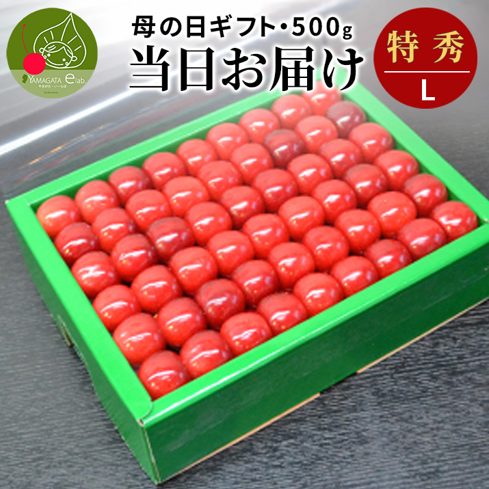 さくらんぼ 佐藤錦 母の日 送料無料」の人気商品一覧・価格比較 - 価格.com