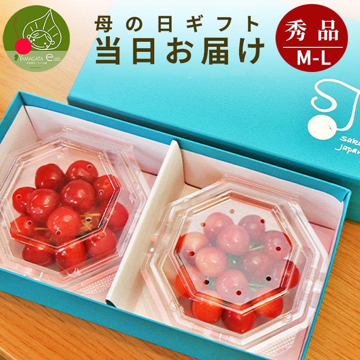 アイス　蜂蜜さくらんぼ 200g 加工食品 さくらんぼ 200g」の人気商品一覧・価格比較 - 価格.com