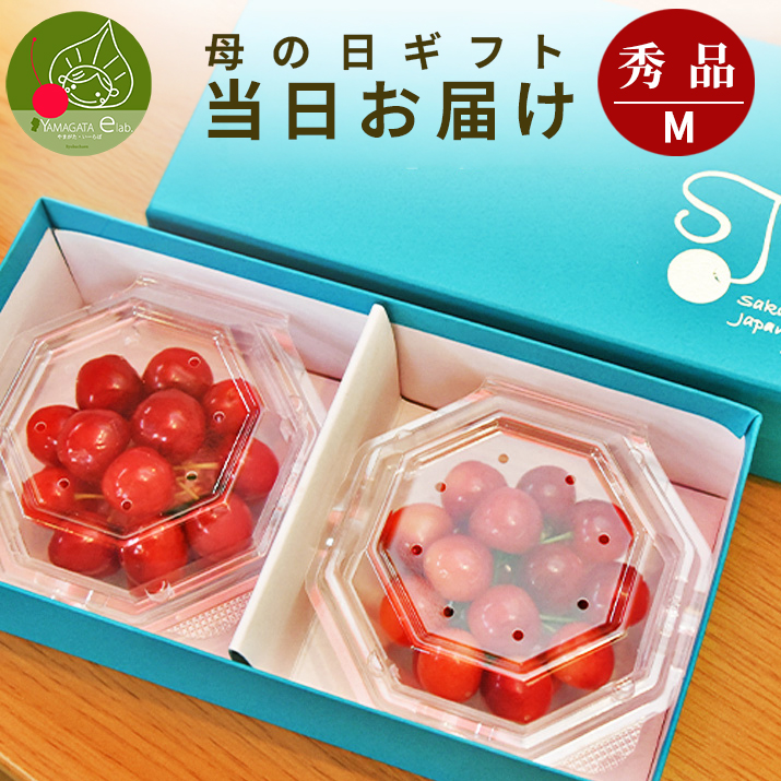 さくらんぼ 佐藤錦 母の日 送料無料」の人気商品一覧・価格比較 - 価格.com