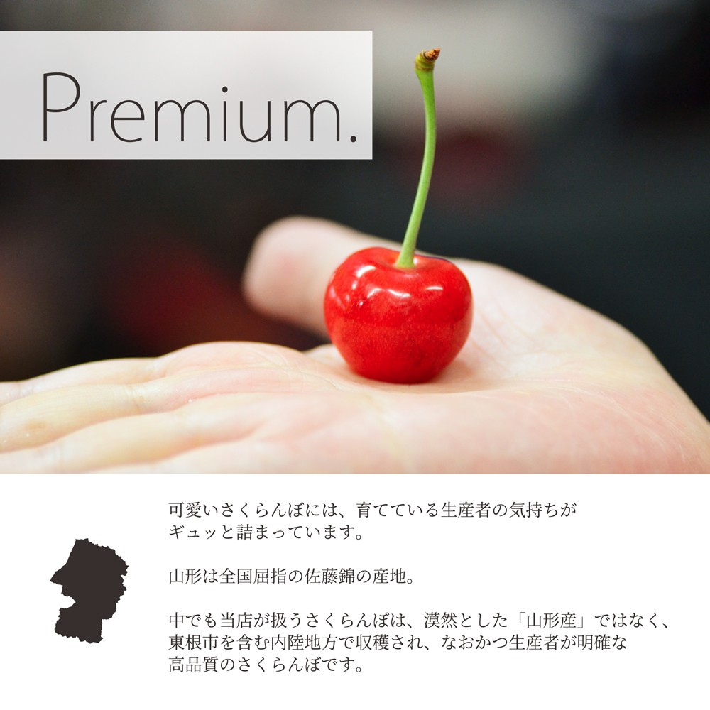 さくらんぼ 佐藤錦 or 紅秀峰 Lサイズ 160g×4 ちぇりっち 4