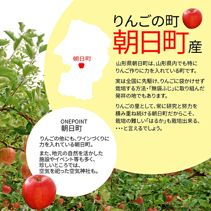 りんご はるか 2kg 5〜8玉前後 蜜入り 山形県産 自家用 黄色 リンゴ