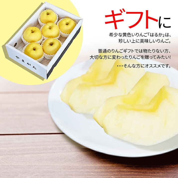 りんご はるか 2kg 5〜8玉前後 蜜入り 山形県産 自家用 黄色 リンゴ