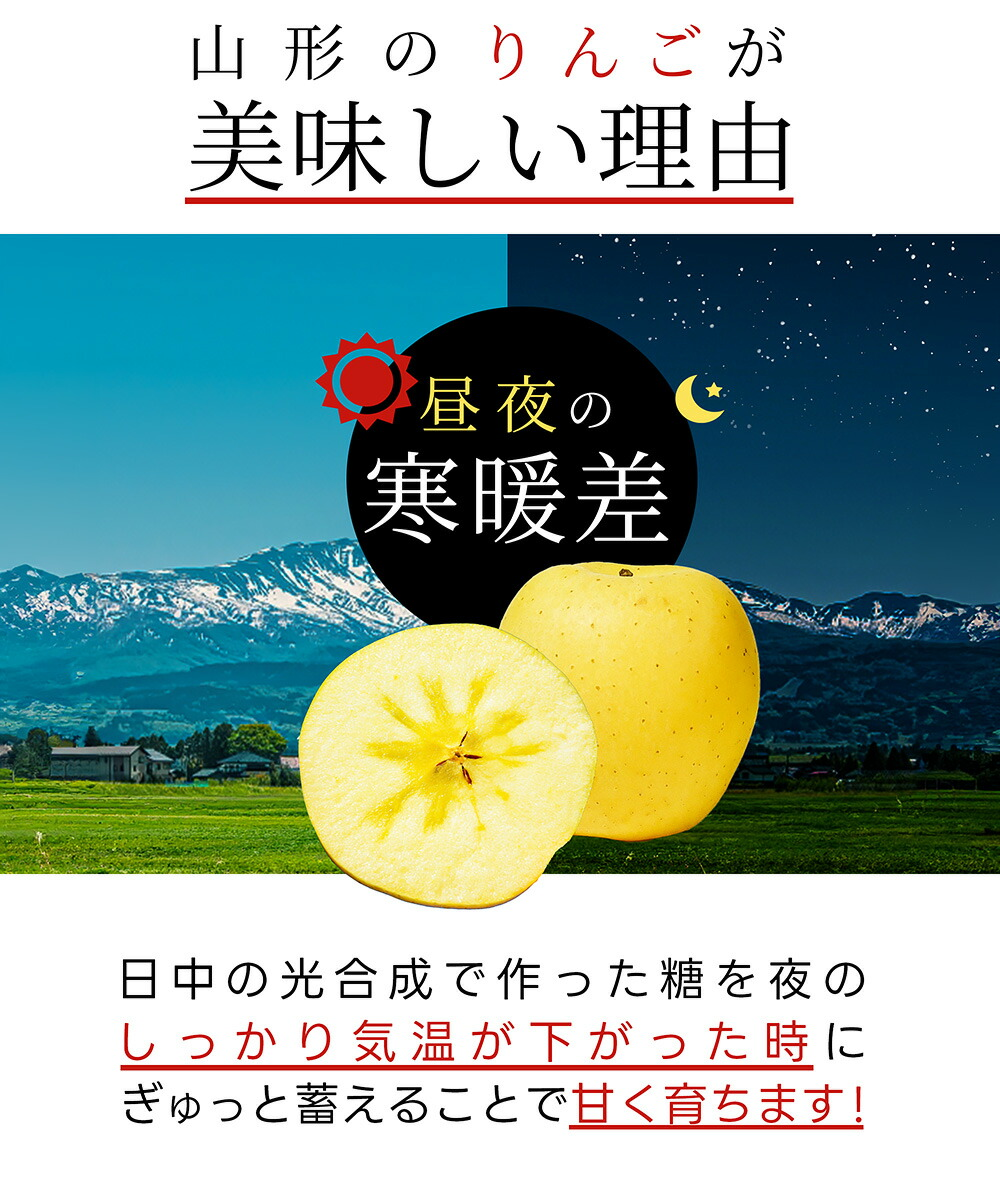 りんご はるか 2kg 5〜8玉前後 蜜入り 山形県産 自家用 黄色 リンゴ