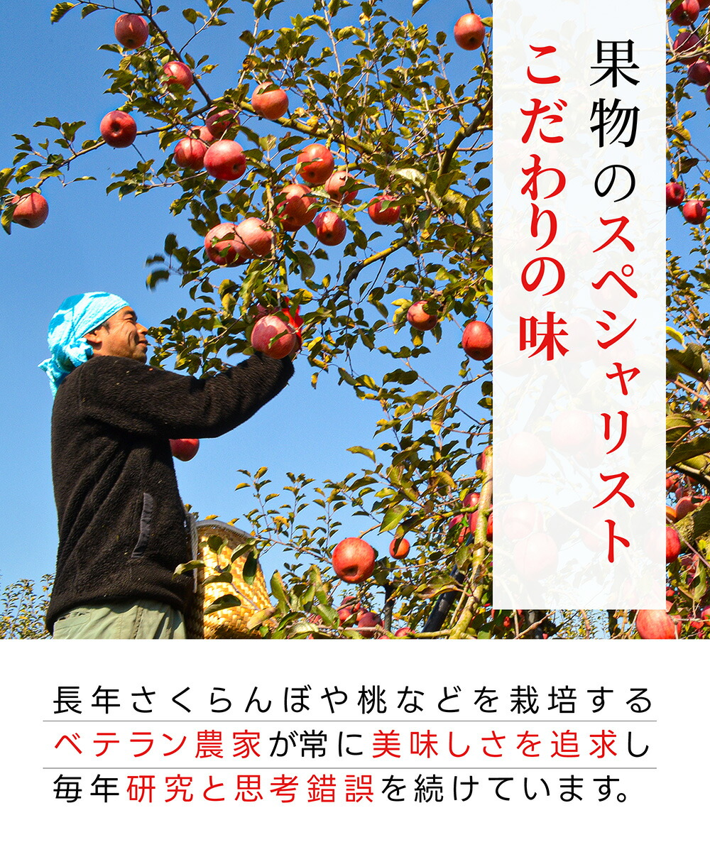 りんご はるか 2kg 5〜8玉前後 蜜入り 山形県産 自家用 黄色 リンゴ