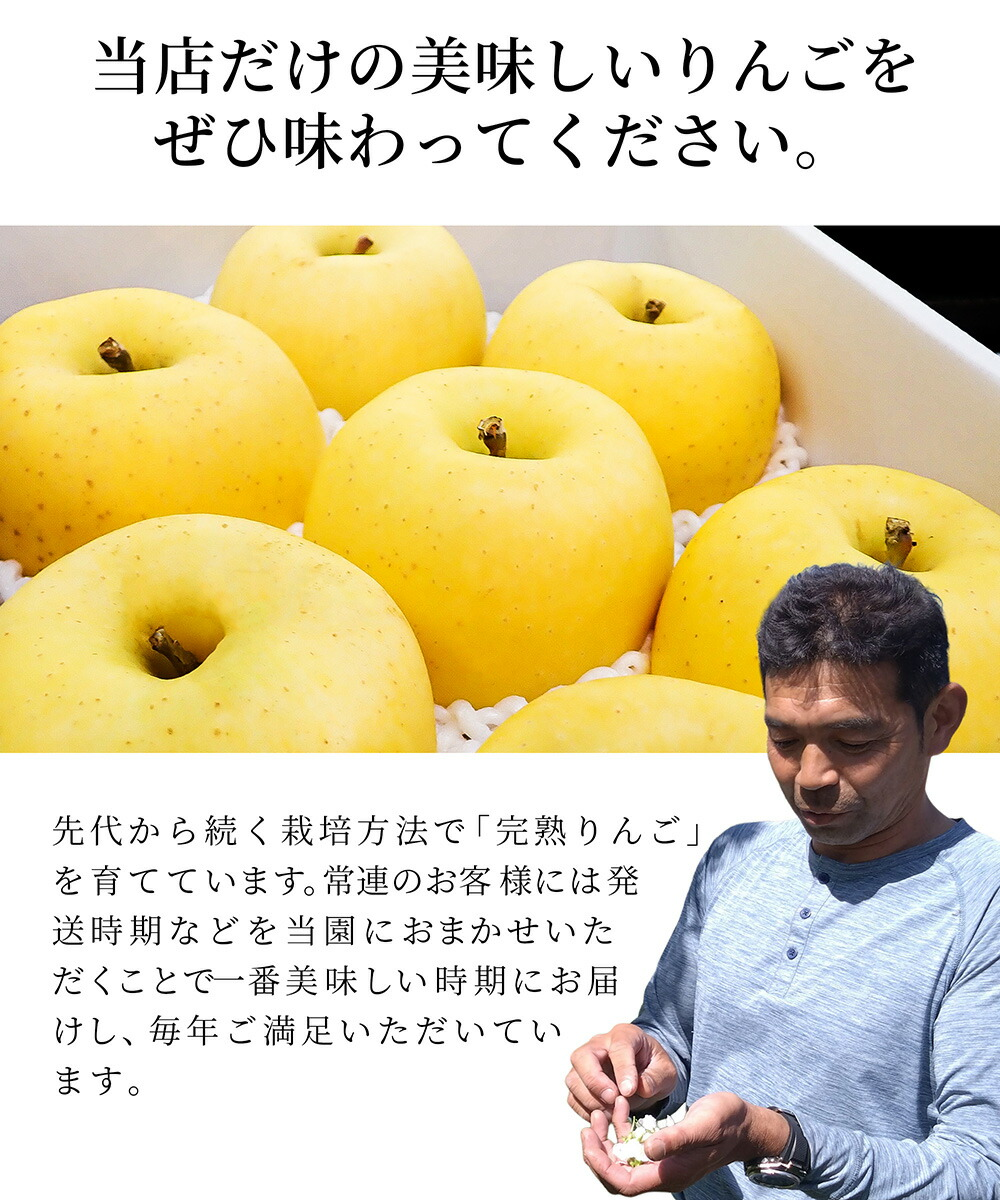 りんご はるか 2kg 5〜8玉前後 蜜入り 山形県産 自家用 黄色 リンゴ