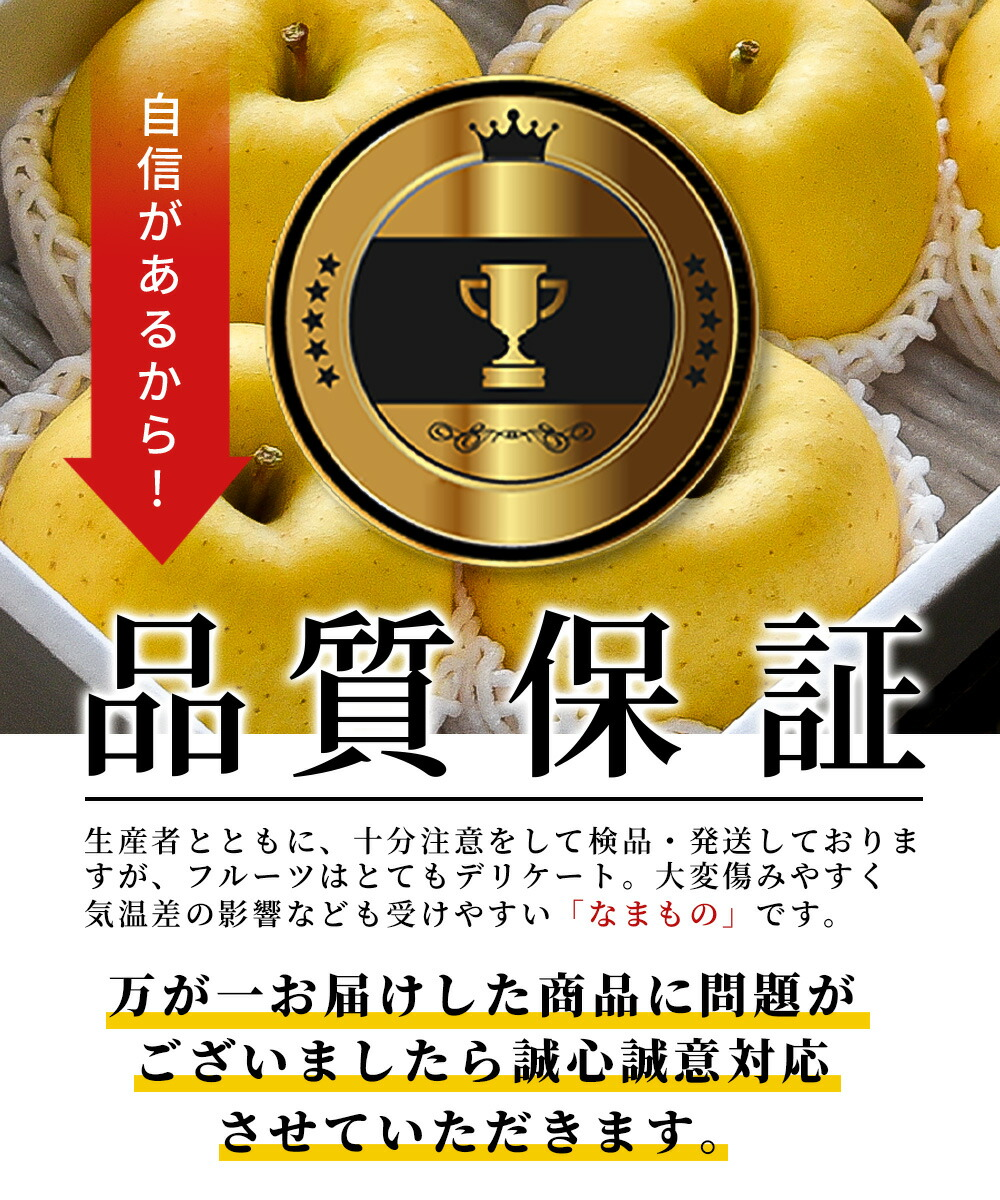 りんご はるか 2kg 5〜8玉前後 蜜入り 山形県産 自家用 黄色 リンゴ