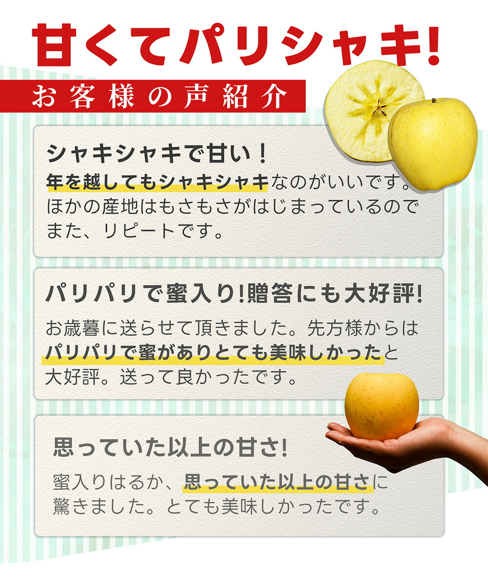 りんご はるか 2kg 5〜8玉前後 蜜入り 山形県産 自家用 黄色 リンゴ