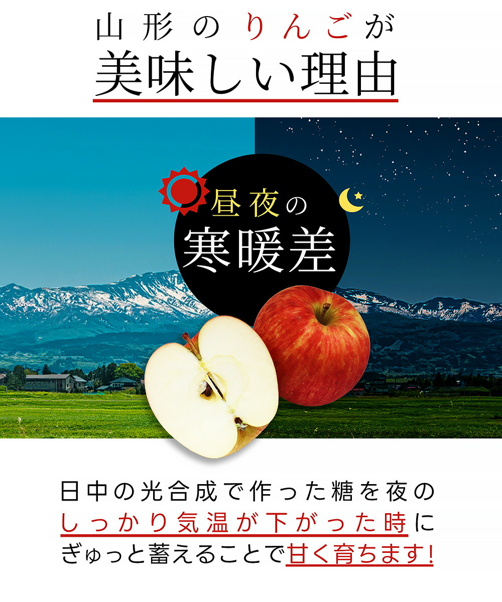 りんご 秀品 10kg ギフト サンふじ 山形県産 御歳暮 贈答用 リンゴ