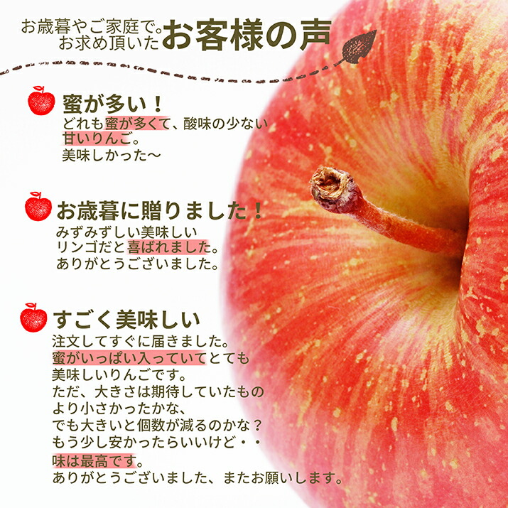 りんご 秀品 3kg ギフト サンふじ 山形県産 御歳暮 贈答用 リンゴ