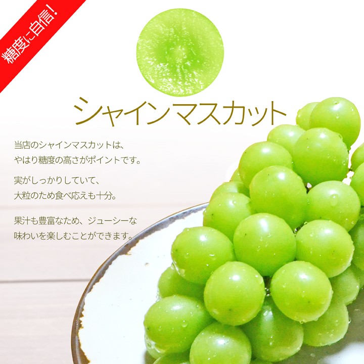 ぶどう セット 詰め合わせ シャインマスカット 1房 & 大粒 ピオーネ 2