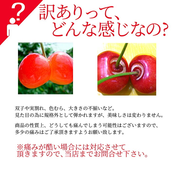 さくらんぼ 佐藤錦 or 紅秀峰 1kg 自宅用 訳あり お得用 ご家庭用 山形 山形県産 さくらんぼ訳あり サクランボ チェリー さくらんぼ 送料無料 果物 |  | 08