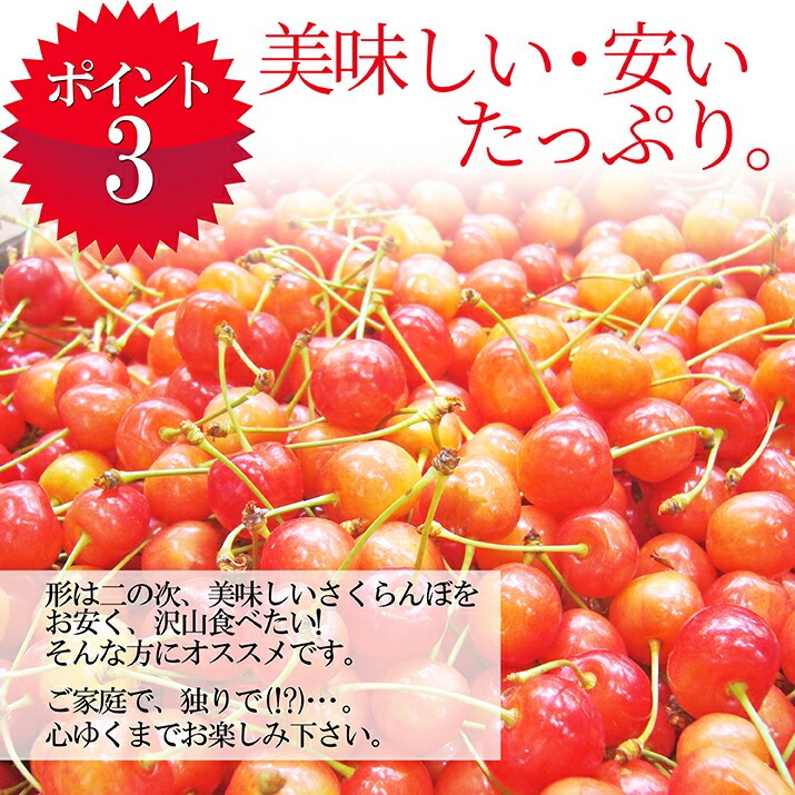 さくらんぼ 佐藤錦 or 紅秀峰 1kg 自宅用 訳あり お得用 ご家庭用 山形 山形県産 さくらんぼ訳あり サクランボ チェリー さくらんぼ 送料無料 果物 |  | 05