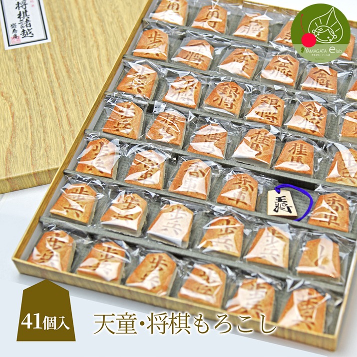 nOǏ`lĈyYI䏫z() 41 R` Y ̔ՂfUCĂ܂I