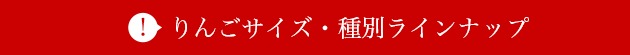 りんご ラインナップ