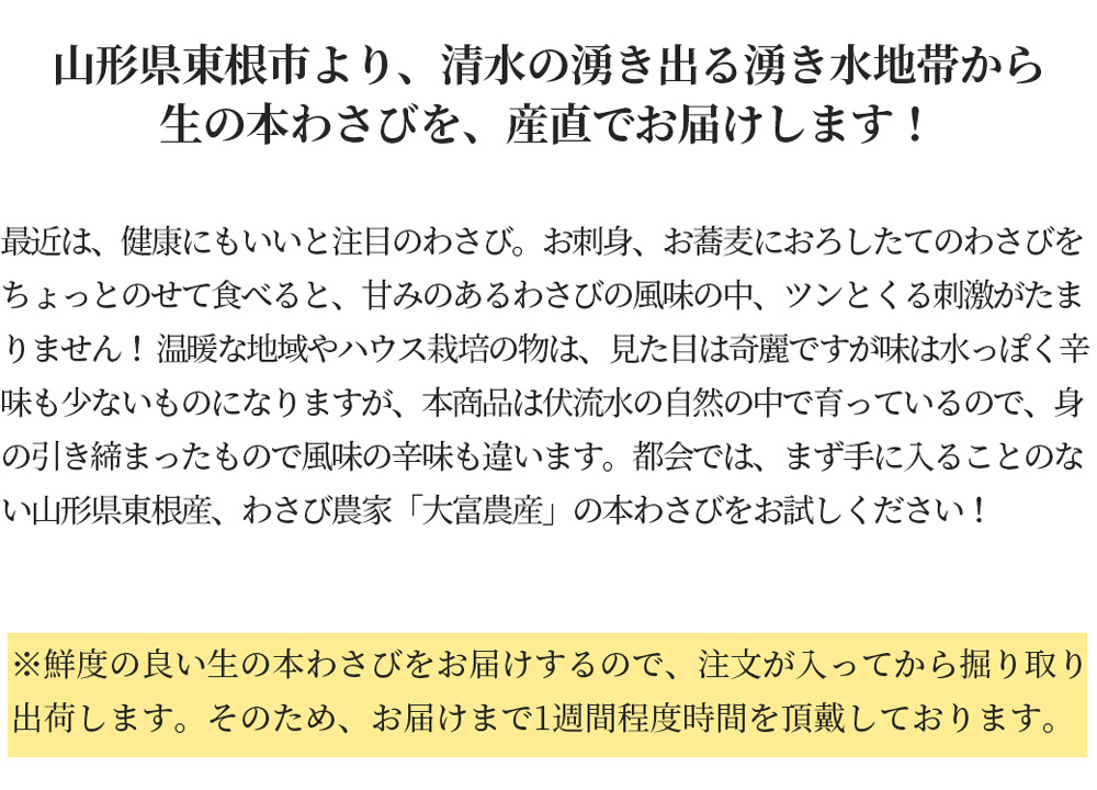 2025年1月中旬発送 先行予約】 本わさび 1〜4本 約150g 無農薬 2025年1月中旬発送 先行予約】 本わさび 1〜4本 約150g 無農薬