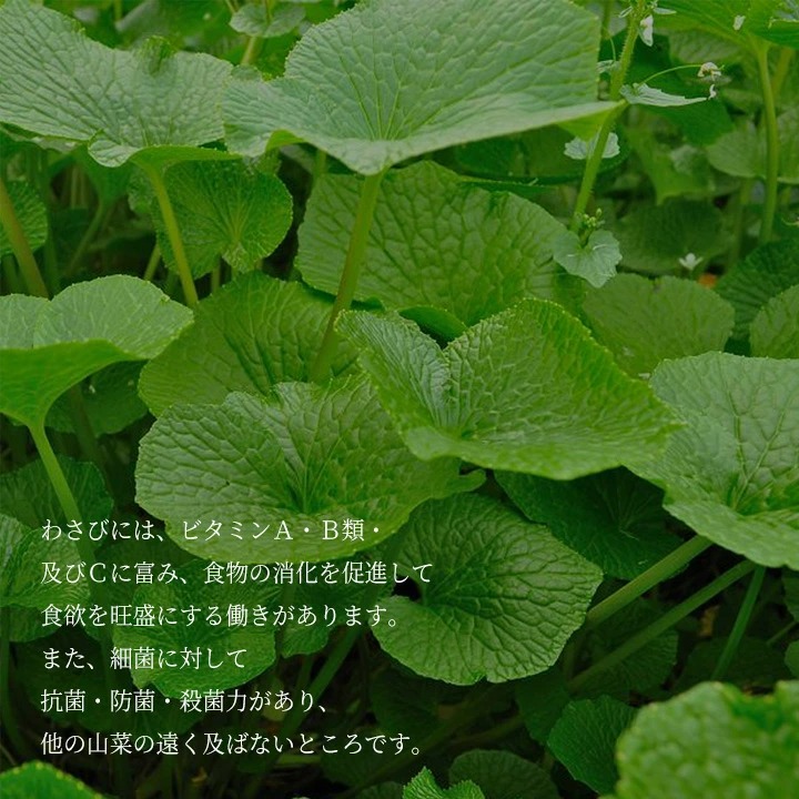 栄養価 が高い