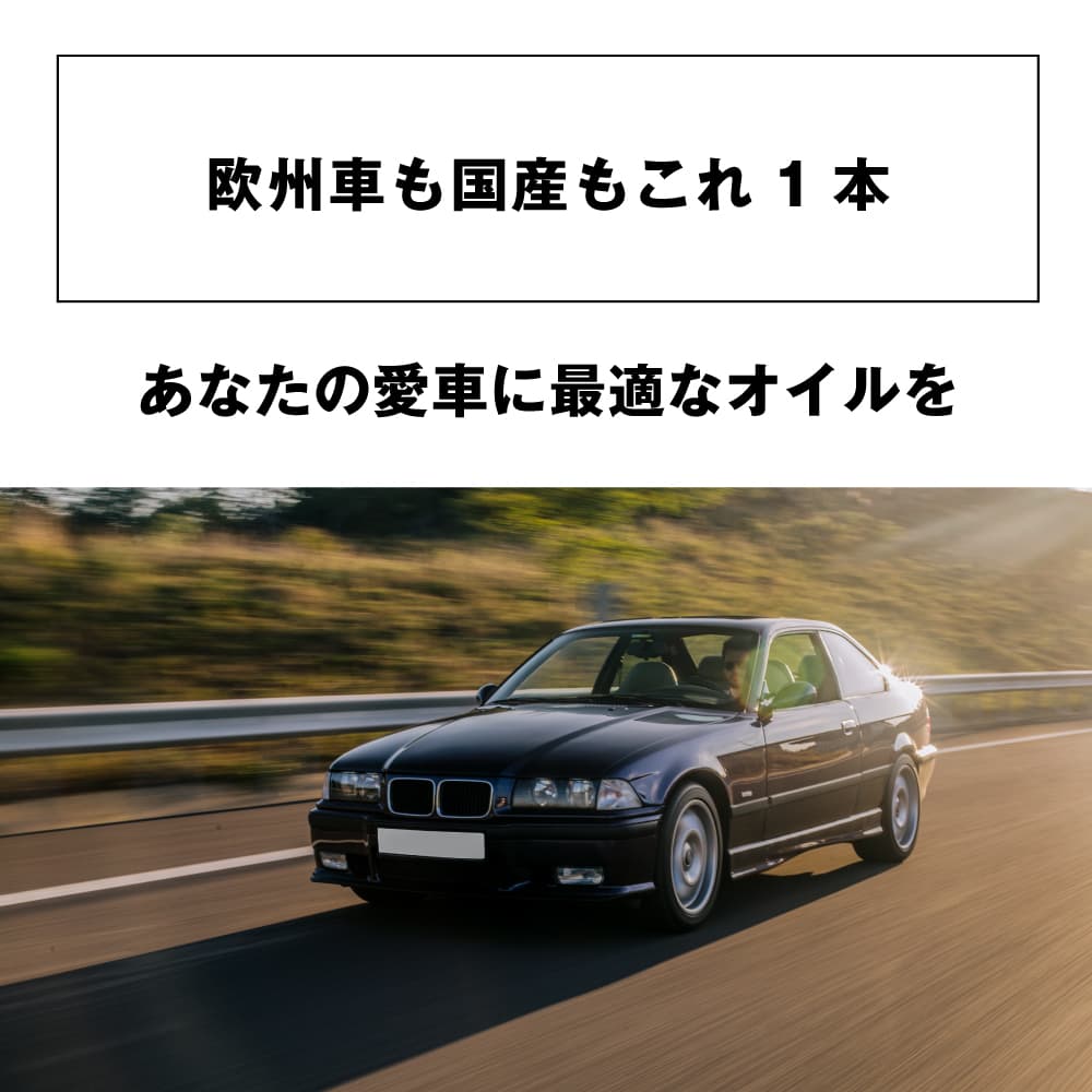 これ1本