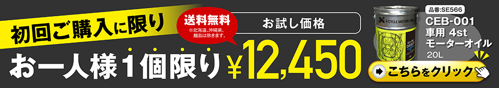 初回限定特別価格誘導バナー