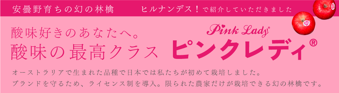 タイトル画像
