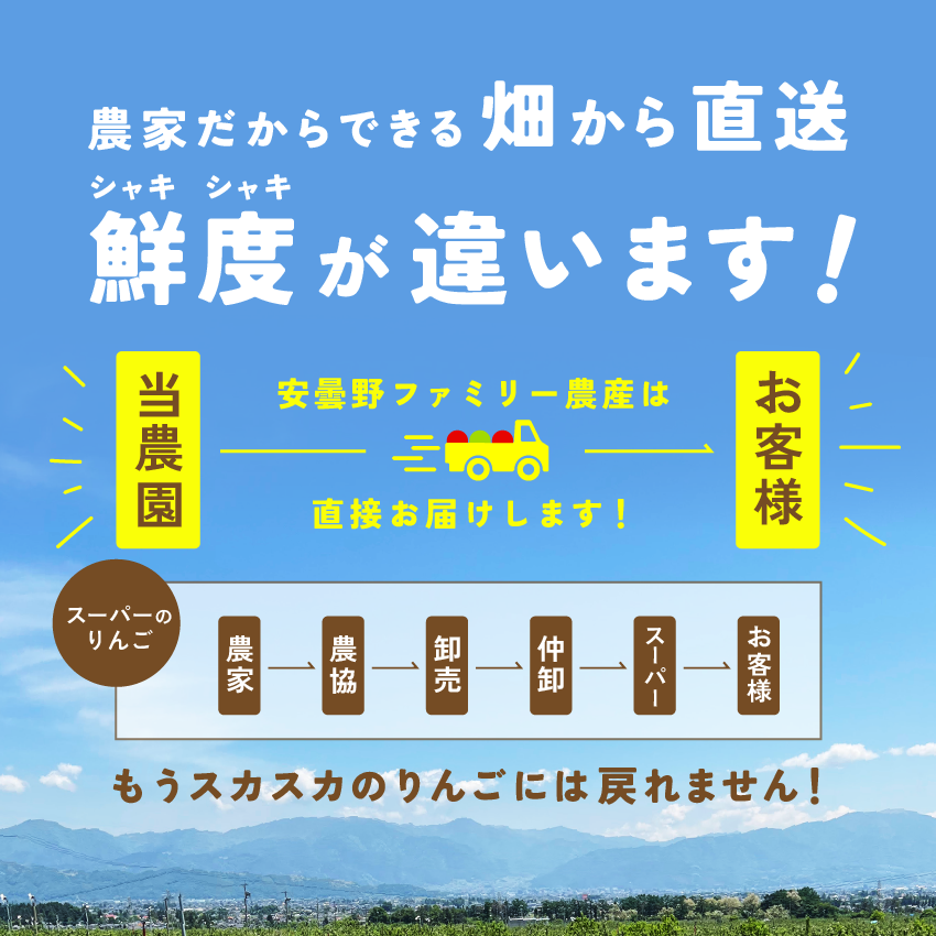 幻のりんご「高徳3キロ箱A品B品」ミックス   甘い 高級 幻 りんご 希少 ギフト 贈答 家庭 3kg 長野県 安曇野 信州 産地直送 後半 |  | 06