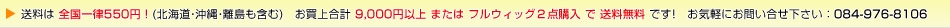 送料は全国一律550円！お買い上げ金額10,000円以上またはフルウィッグ2点購入は全国送料無料！