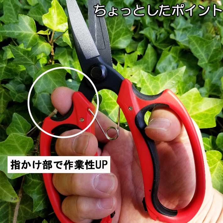 剪定ばさみ フッ素コーティング植木はさみ A921 剪定バサミ 女性用 枝切りバサミ 園芸バサミ 枝切りばさみ 剪定はさみ  :4954458280360:B・Bセレクト - 通販 - Yahoo!ショッピング