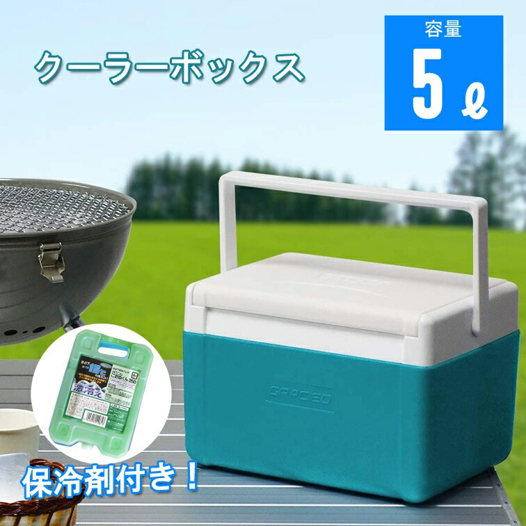 クーラーボックス 小型 軽量 5L アウトドア キャンプ 釣り