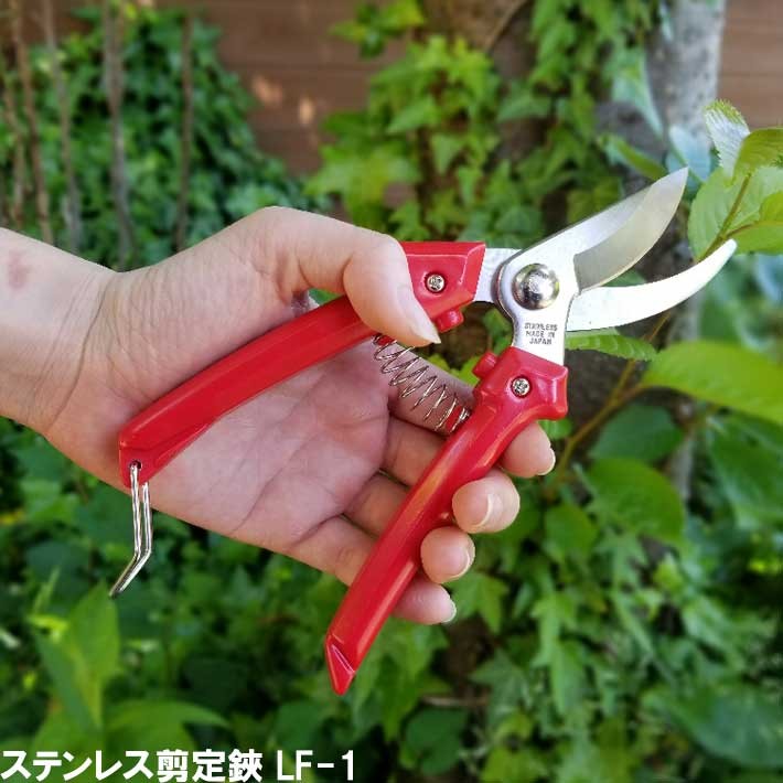 剪定ばさみ ステンレス LF-1 剪定バサミ 日本製 女性用 枝切りバサミ 