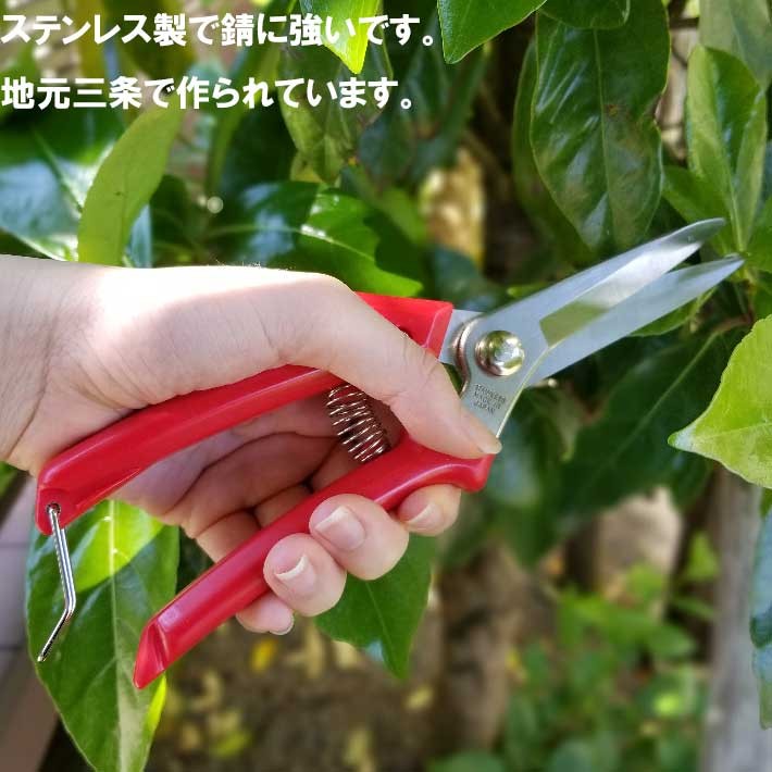 万能ばさみ ステンレス LF-2 剪定バサミ 日本製 女性用 枝切りバサミ 園芸バサミ 枝切りばさみ 剪定はさみ :b500437:B・Bセレクト  通販 