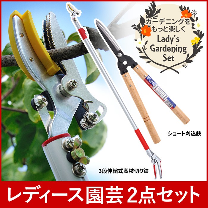 高枝切りバサミ園芸2点セット 3段伸縮式高枝切鋏＆ショート刈込鋏 高