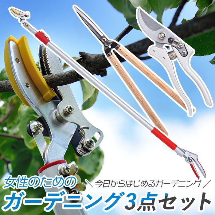 高枝切りバサミ園芸3点セット3段伸縮式高枝切鋏＆長刃刈込鋏＆剪定鋏大