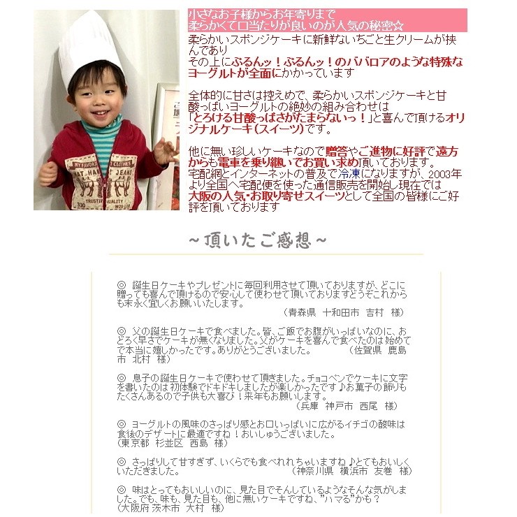 大阪ヨーグルトケーキ説明と感想