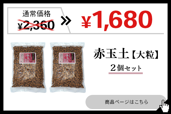 国産 硬質 赤玉土 大粒 2L 基本土 ブレンド用 観葉植物 花木 草木など 鉢植え 鉢上げ バラ 薔薇 ガーデニング 家庭菜園  :akadama-big-2l:雑貨イズム - 通販 - Yahoo!ショッピング