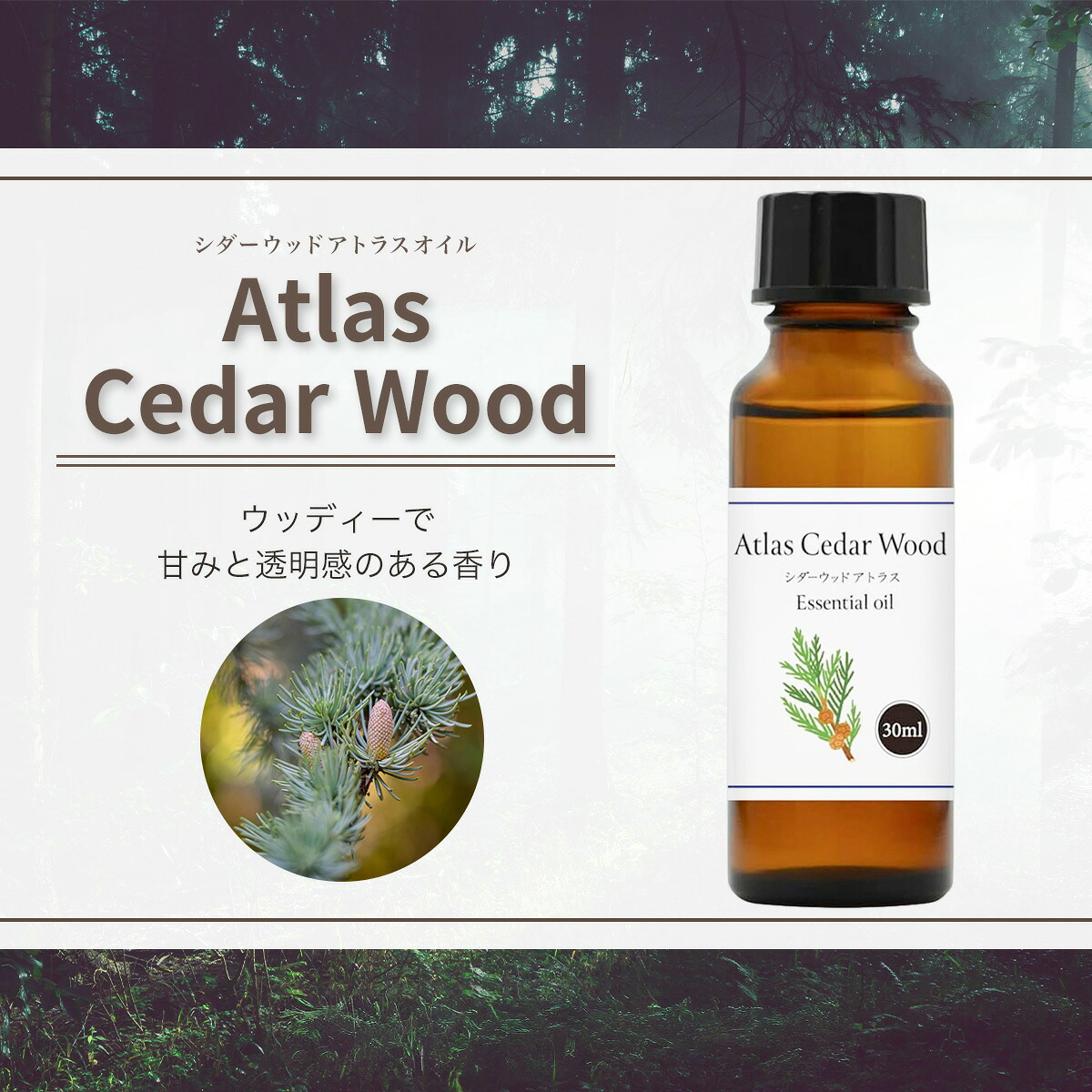 シダーウッド アトラス オイル 30ml 精油 アロマ エッセンシャルオイル