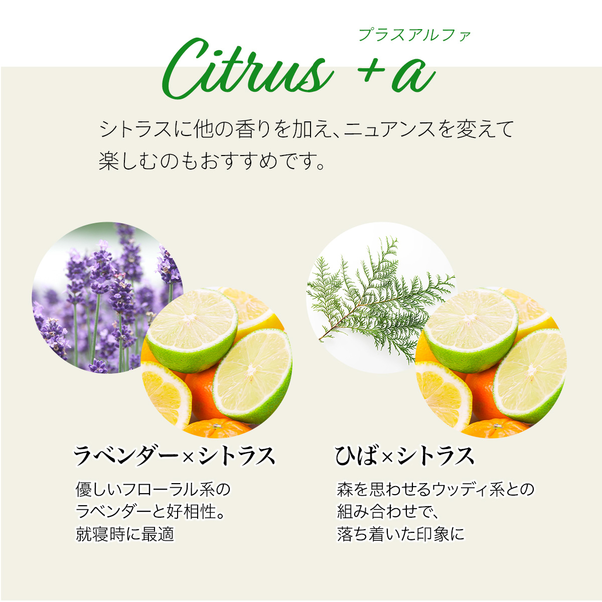 citrus20_05.jpg