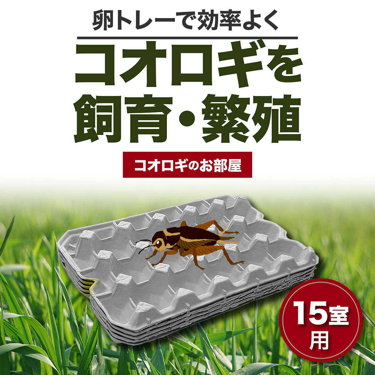 卵トレー 卵パック コオロギ 飼育 お部屋 15室5枚 卵ケース 紙 紙製 飼育 容器 ケース 生餌 コオロギのお部屋 : cricketroom15  : 雑貨イズム - 通販 - Yahoo!ショッピング